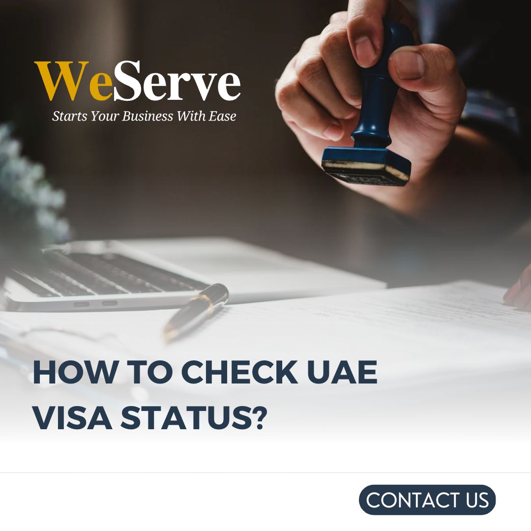 How To Check UAE Visa Status And Validity Online Top Business Setup   Uae Visa Status Compressed 